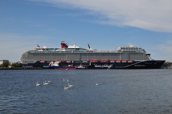 mein schiff 7 am warnemünder kreuzfahrtterminal und schwäne 